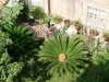 nature croatie