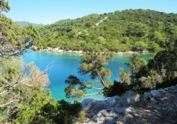 IMG_1188 (Custom)