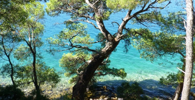Multi-activities on Dalmatian islands (guided)