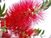 nature croatie